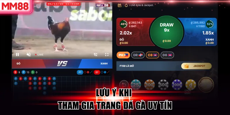 Lưu ý khi tham gia trang đá gà uy tín