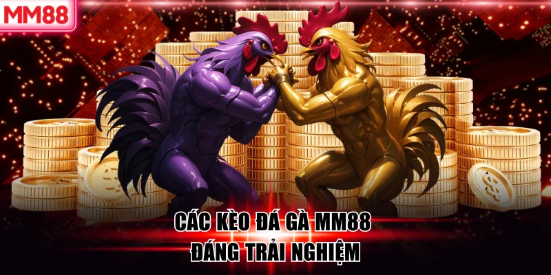 Các kèo đá gà MM88 đáng trải nghiệm